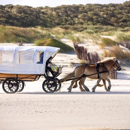 Friesenrose - Mit Wattblick * Juist